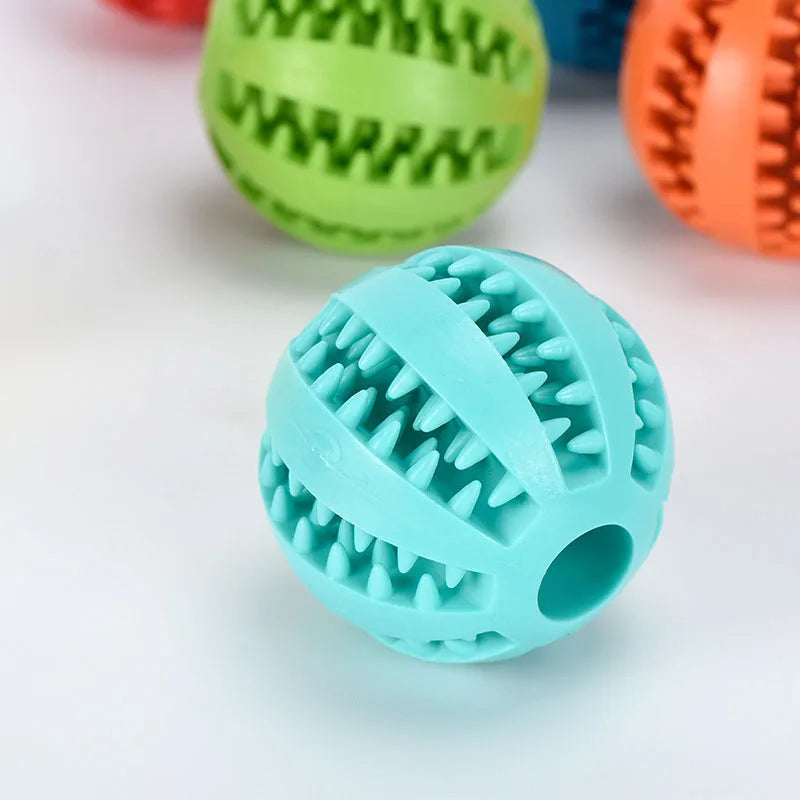 Cadeautip hond – Iets leuks voor elke pup