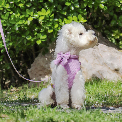 Anti-trek tuigje voor honden – Meer controle tijdens wandelingen