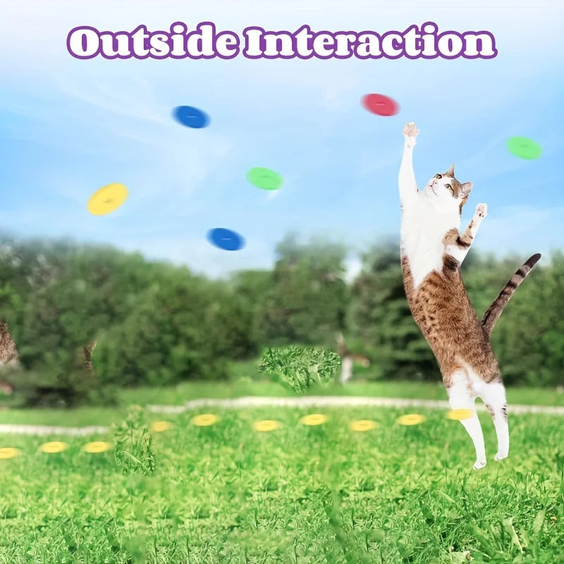 Kattenspeeltje met kralen en veren – Licht en kleurrijk