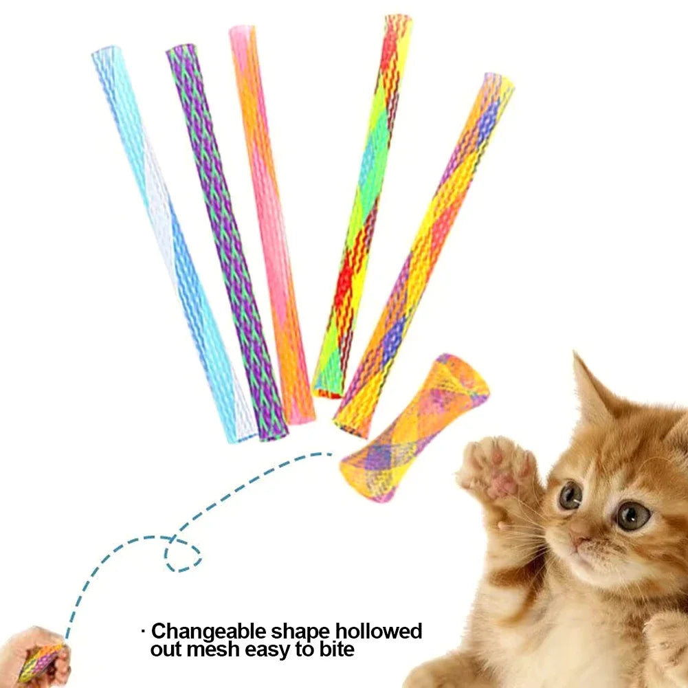 Kattenspeeltje voor interactief spel – Perfect voor samen spelen