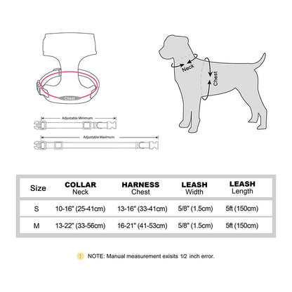 Comfort tuigje voor oudere honden – Zacht en ondersteunend