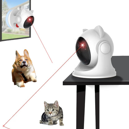 Leukste kattenspeeltje van het jaar – Getest en goedgekeurd