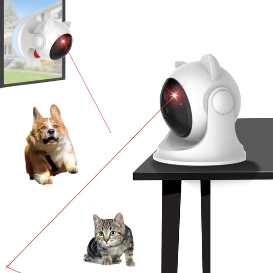 Leukste kattenspeeltje van het jaar – Getest en goedgekeurd