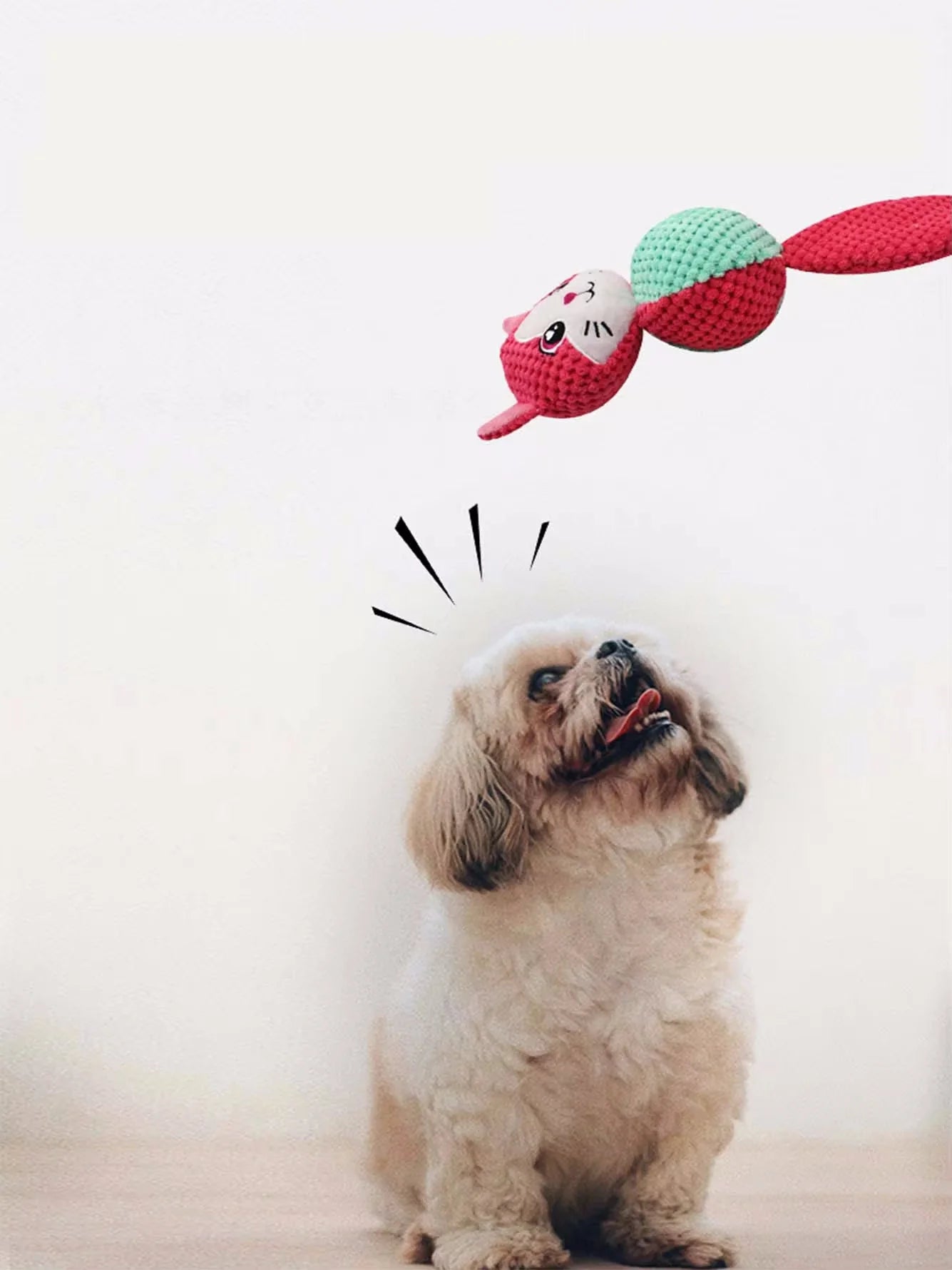 Luxe traktatiebox voor hond – Voor zijn speciale dag