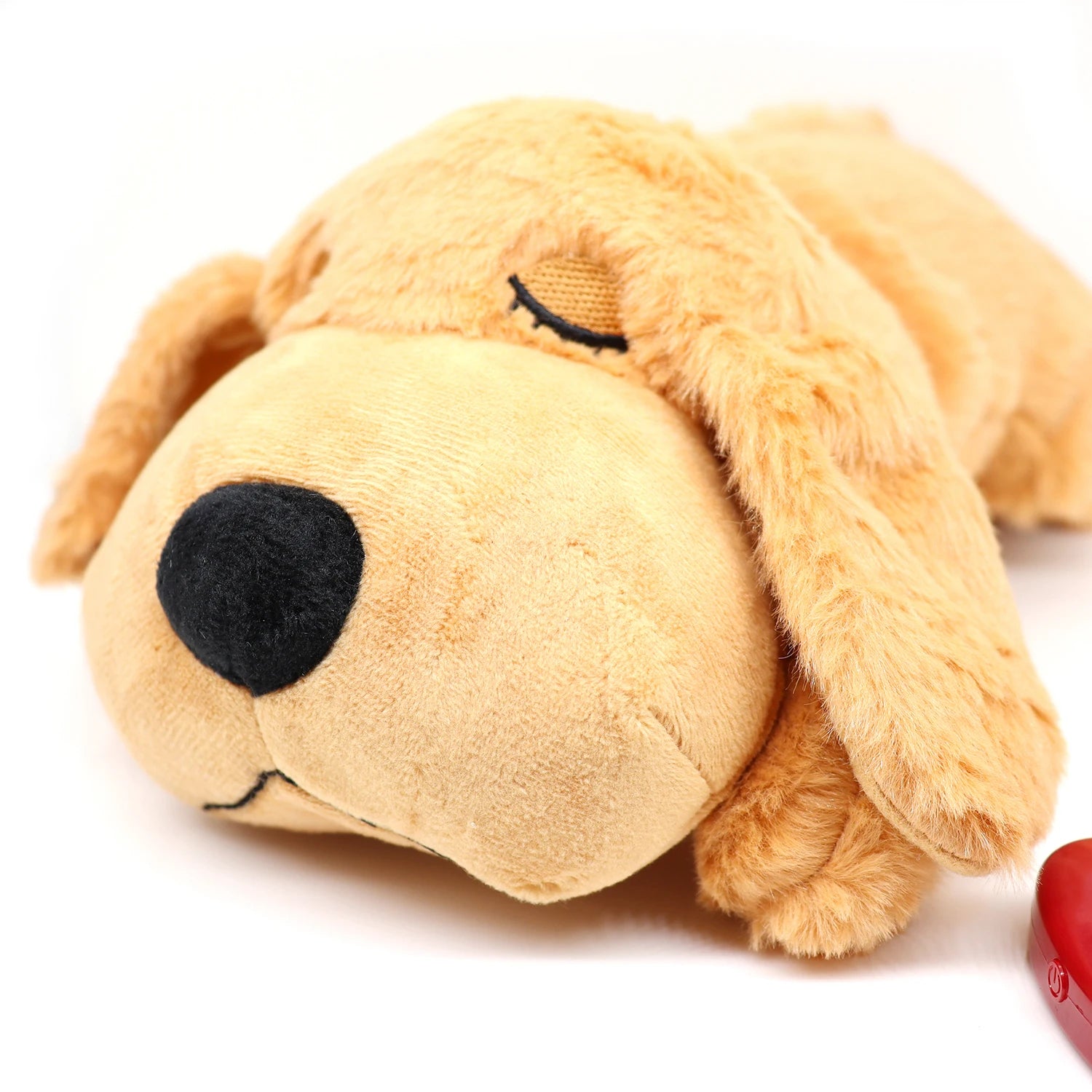Cadeau hond verjaardag compleet – Van snacks tot speeltjes