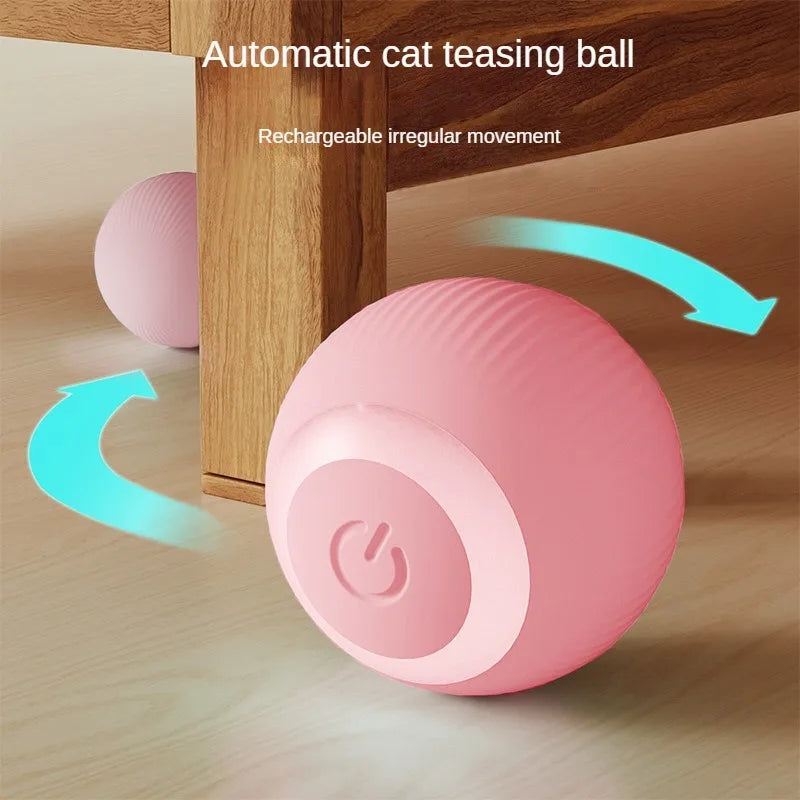 Leuk kattenspeeltje met LED – Visueel aantrekkelijk