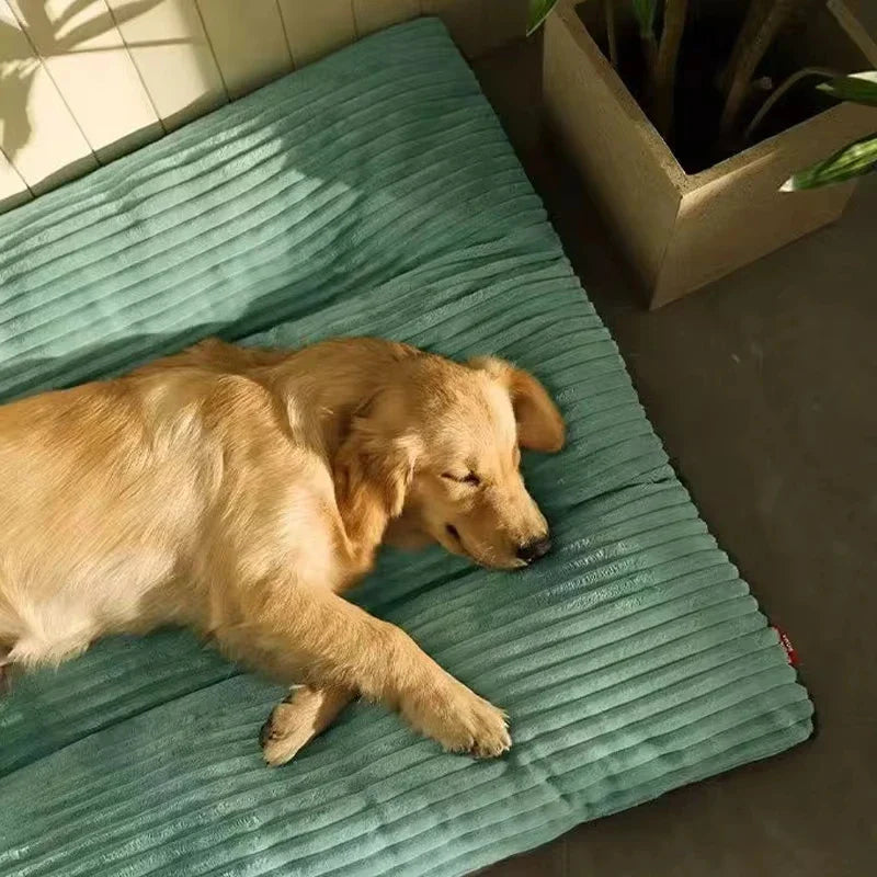 Hondenmand orthopedisch groot – Ideaal voor oudere honden