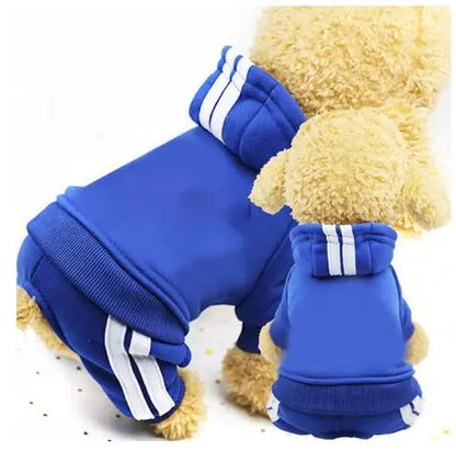 Honden cadeaubox met snacks – Heerlijk en vrolijk