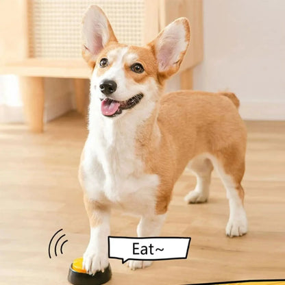 Cadeau hond met speeltjes – Spelen, bijten, genieten
