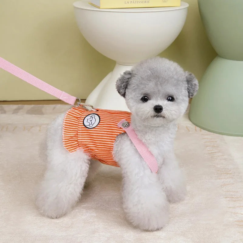 Honden tuigje met padding – Extra comfort voor de hond