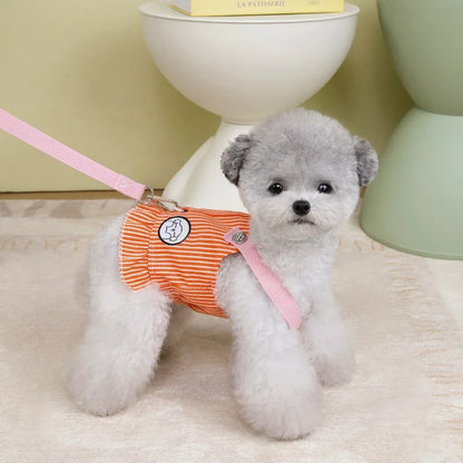 Honden tuigje met padding – Extra comfort voor de hond