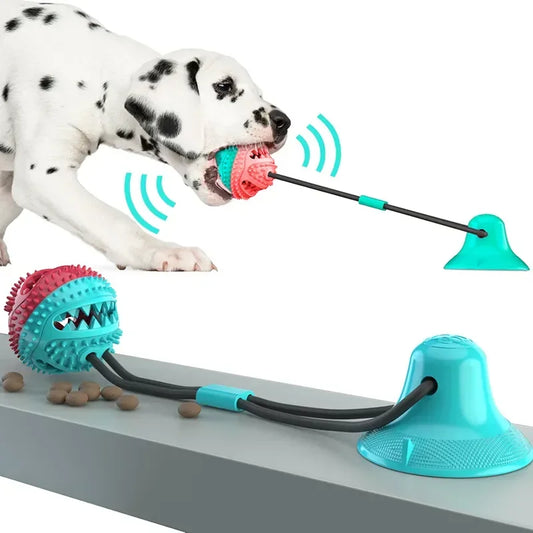 Verjaardagstraktatie hond cadeau – Smullen en spelen