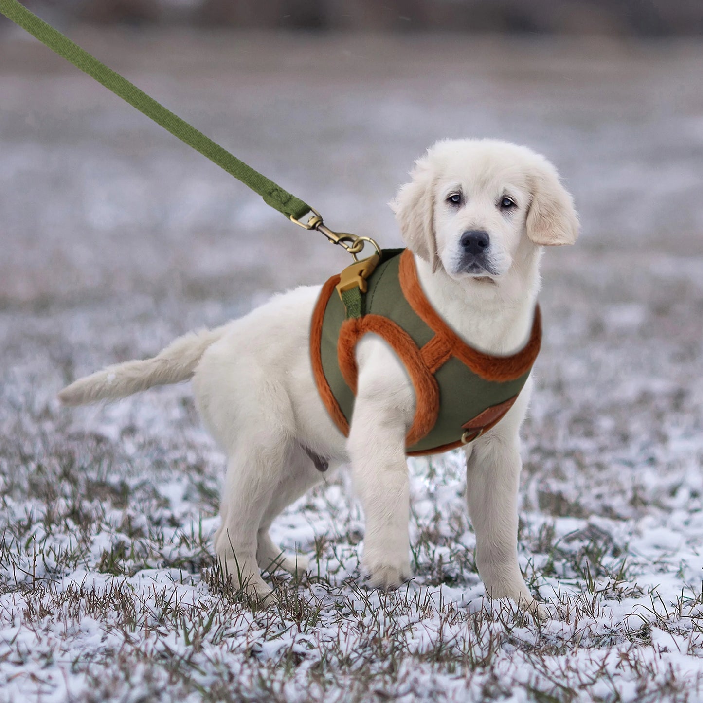 Honden tuigje met vooraanlijnoptie – Anti-trek functionaliteit