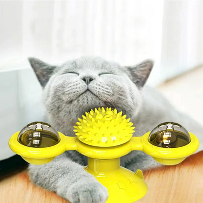 Kattenspeeltje aan stokje – Samen interactief spelen