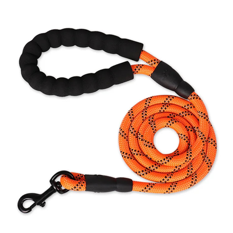 Speelgoed cadeau voor hond – Actief en leuk