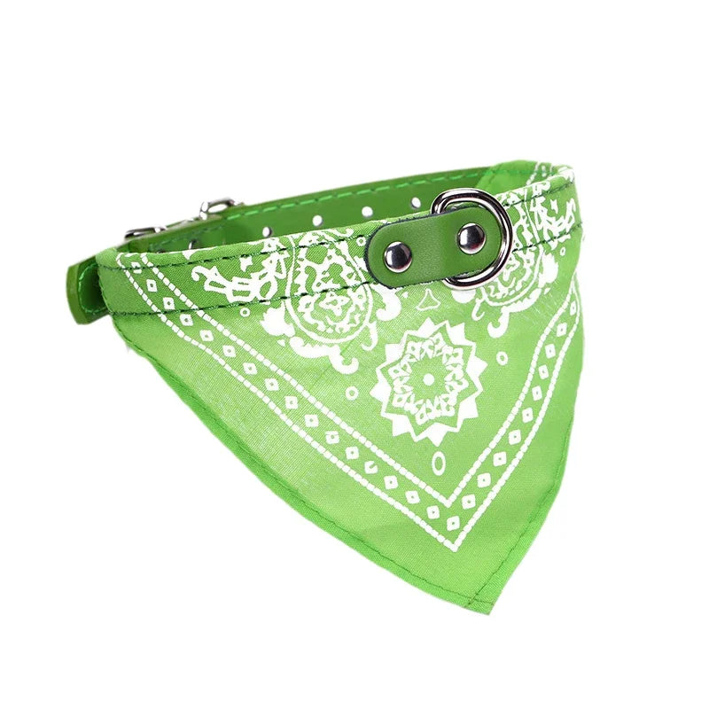 Luxe honden tuigje – Comfort en stijl gecombineerd