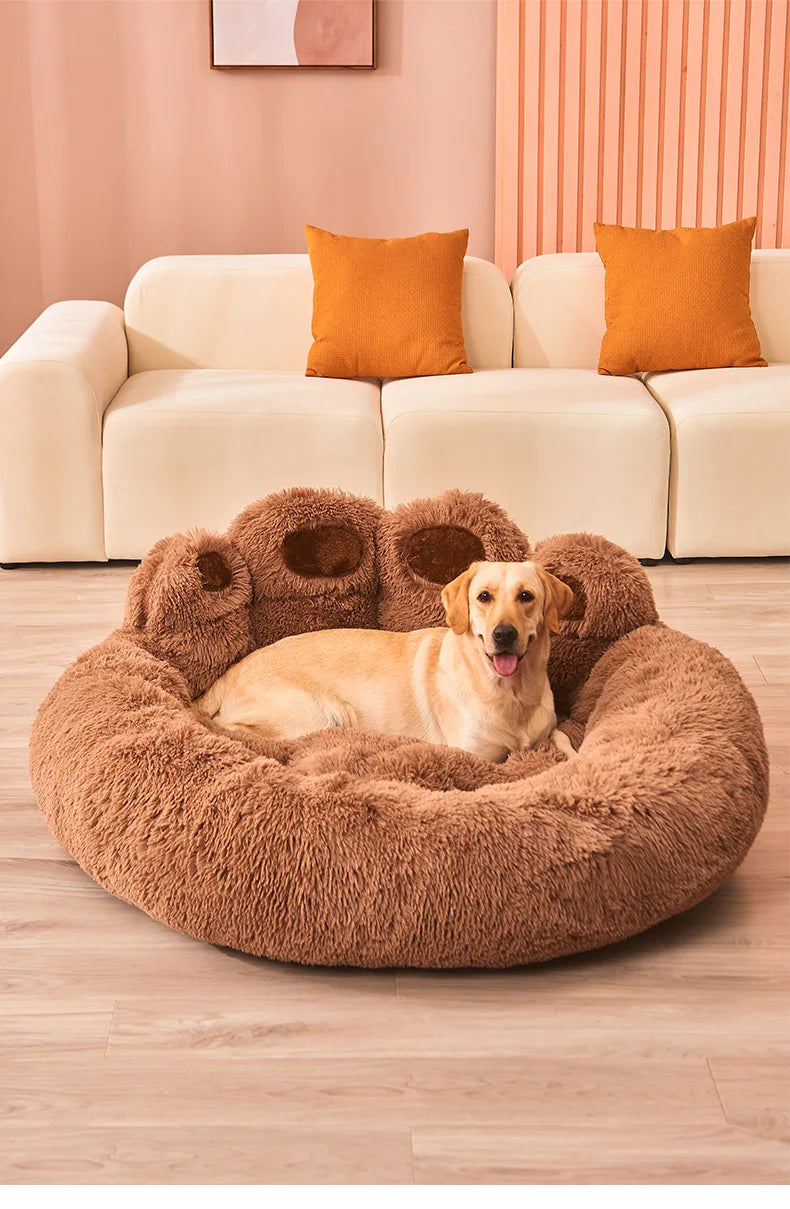 Cadeau voor hond en mens – Duo plezier