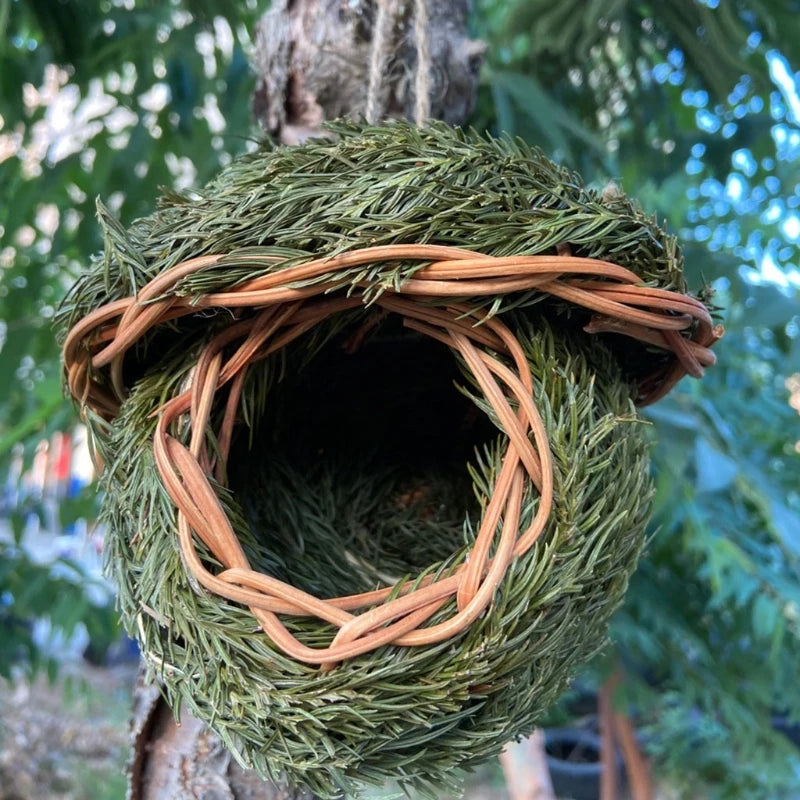Vogelhuisje Intratuin – Sfeervol en decoratief
