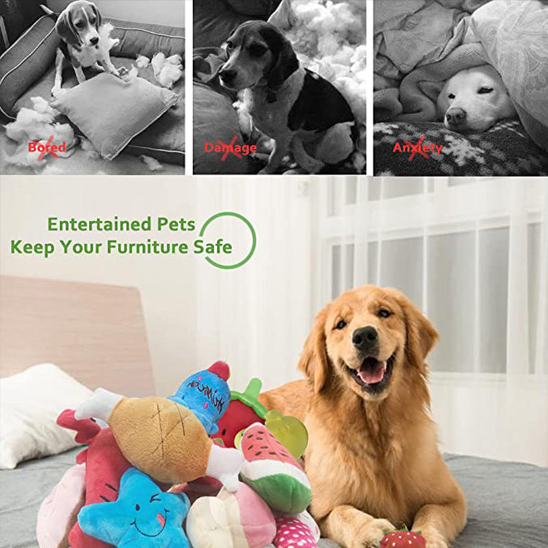 Cadeauset voor hond en eigenaar – Perfect duo pakket