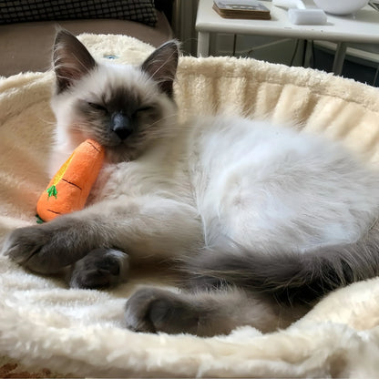 Action katten speelgoed muisjes – Simpel en effectief