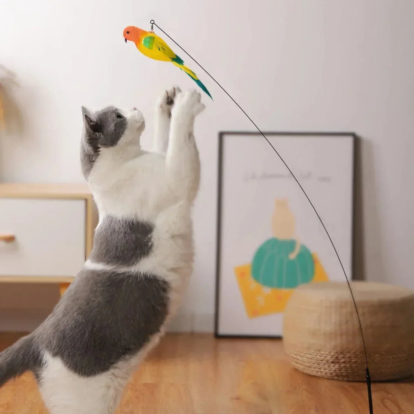 Kattenspeeltjes die geluid maken – Meer betrokkenheid