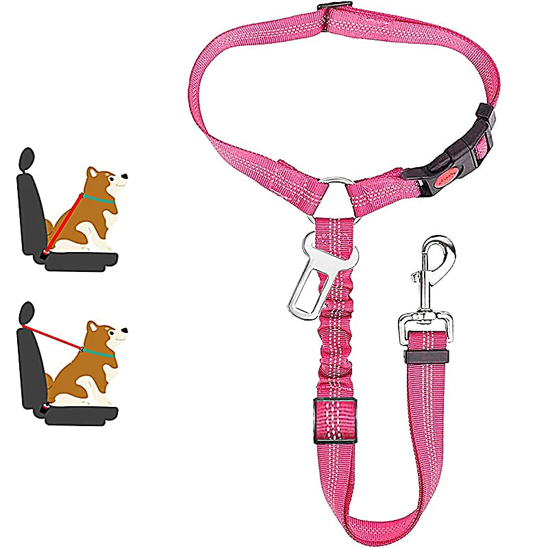 Tuigje voor hond Action met basic design – Praktisch en voordelig