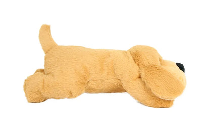 Cadeaupakket hond verjaardag – Compleet en feestelijk