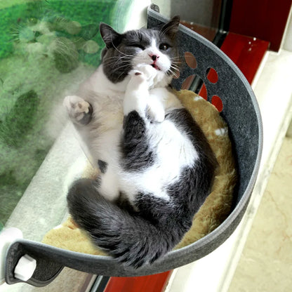 Budget kattenmand van Action – Simpel en effectief