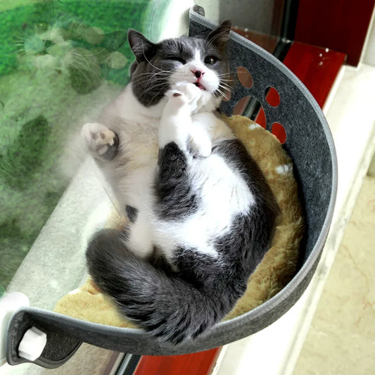 Budget kattenmand van Action – Simpel en effectief