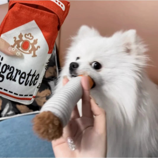 Cadeau voor hond en baas – Samen genieten