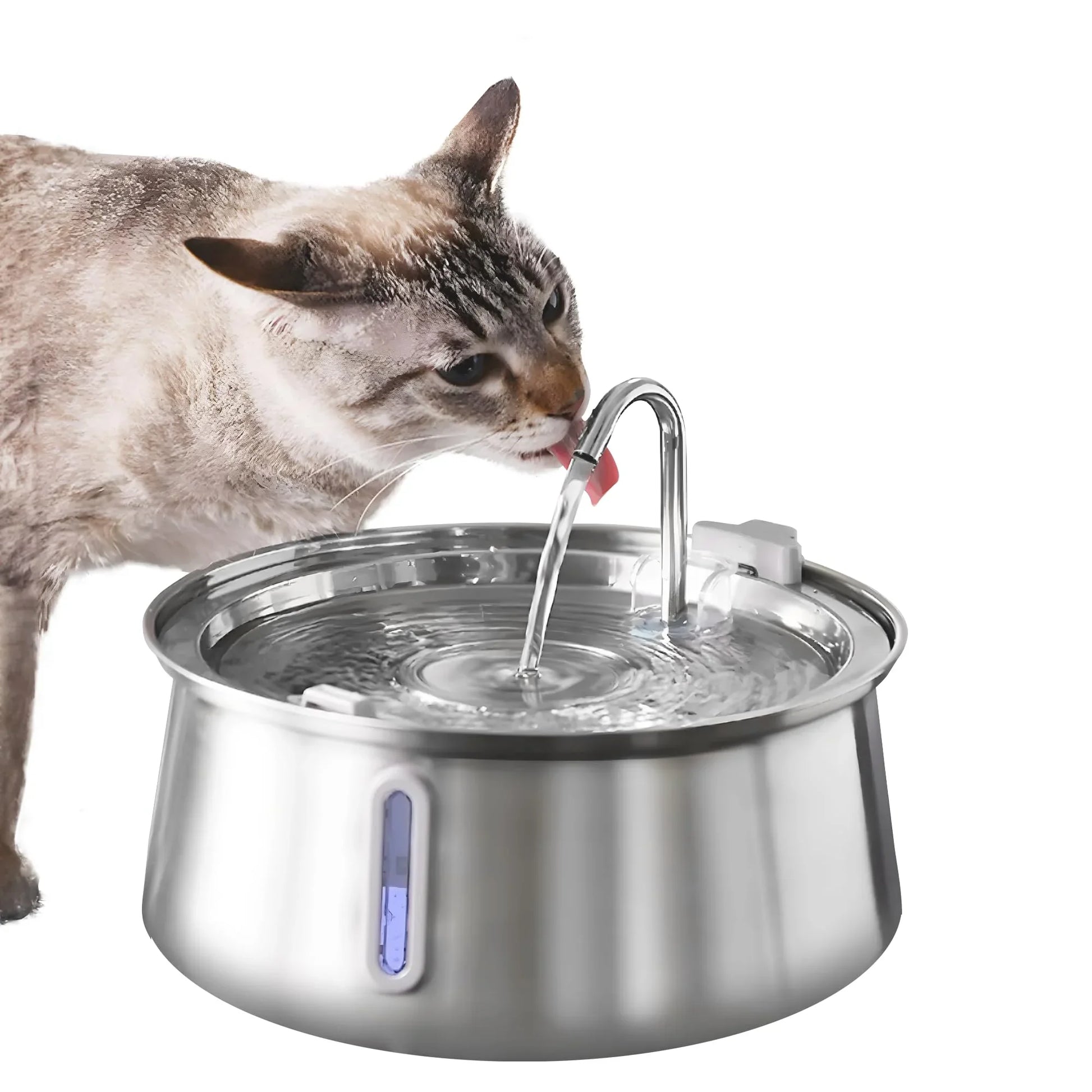 Fontein voor kat met zachte LED – Ideaal voor ‘s nachts