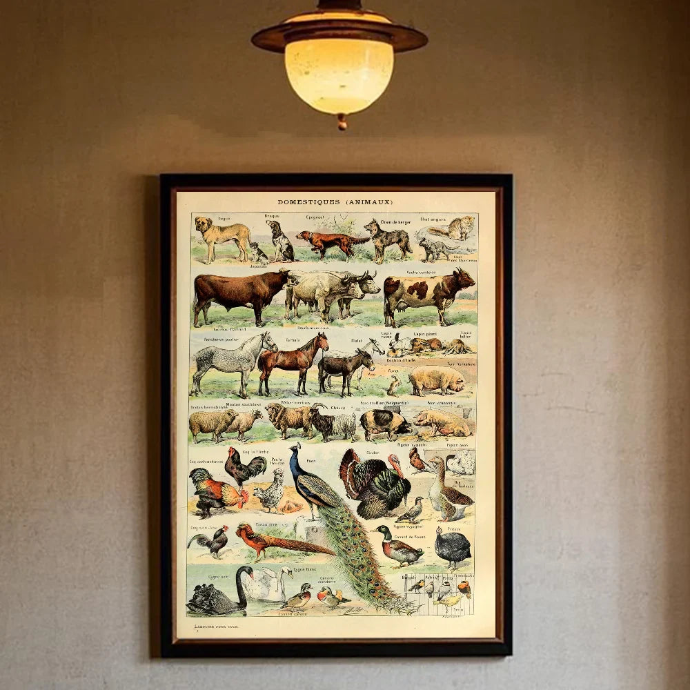 Poster met zonsondergang – Sfeervol en warm