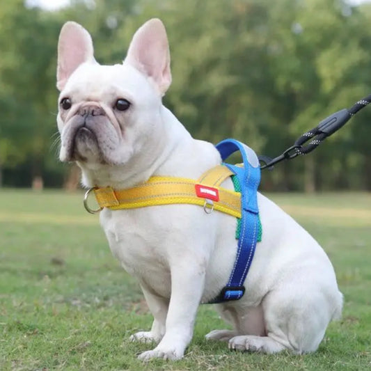Action honden tuigje basic model – Simpel en effectief