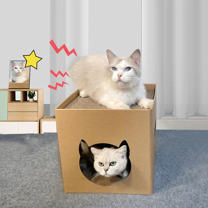 Stijlvolle kattenmand – Voor kat én interieur