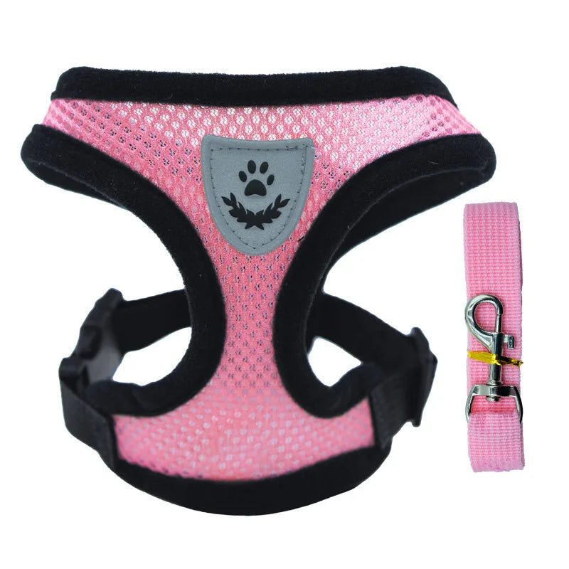 Luxe honden tuigje – Comfort en stijl gecombineerd