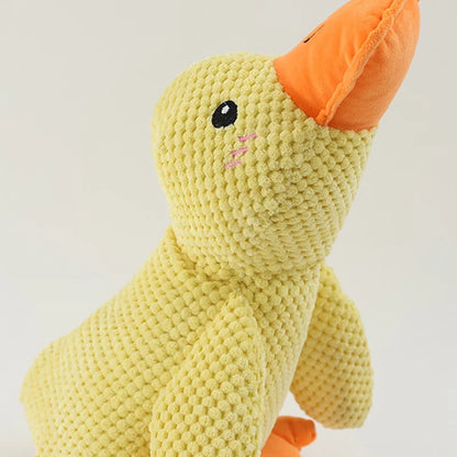 Cadeau voor hond en mens – Duo plezier