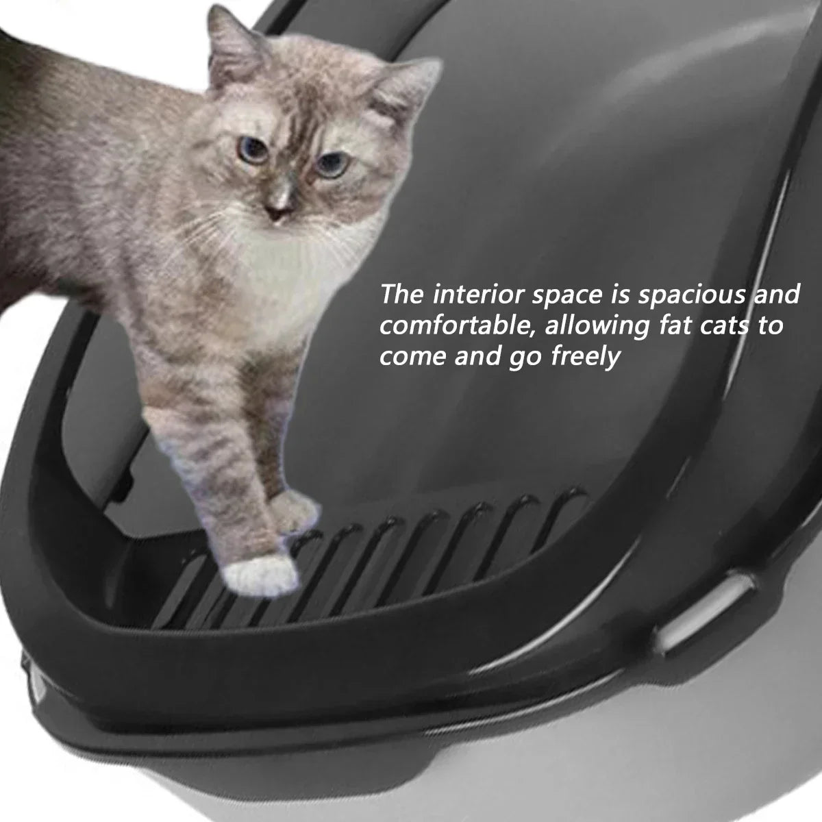 Kattenbak met rand tegen uitloop – Houd je vloer schoon