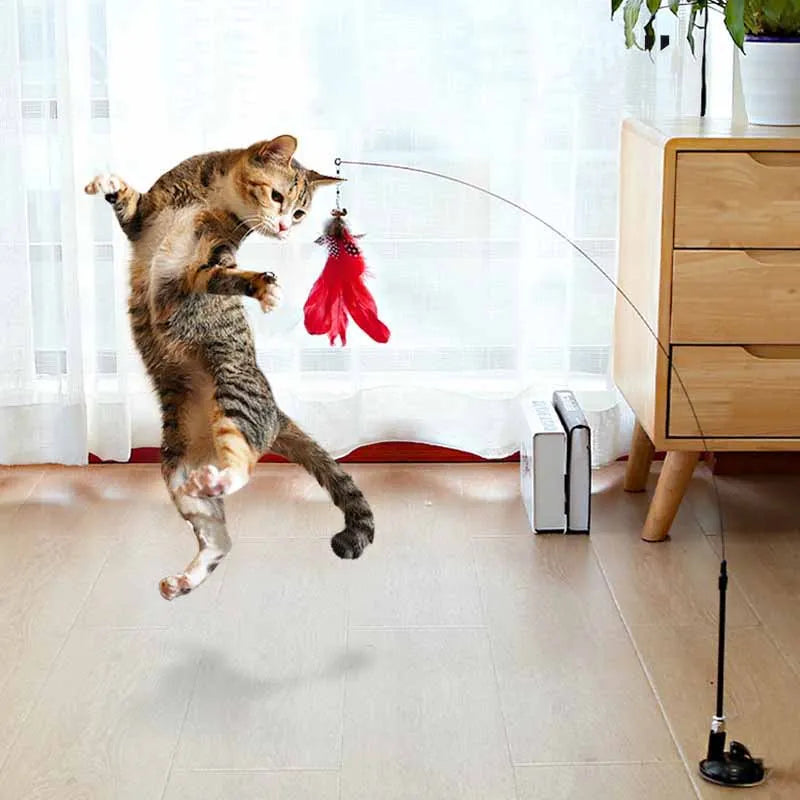 Action kattenspeeltjes – Budgetvriendelijke keuze