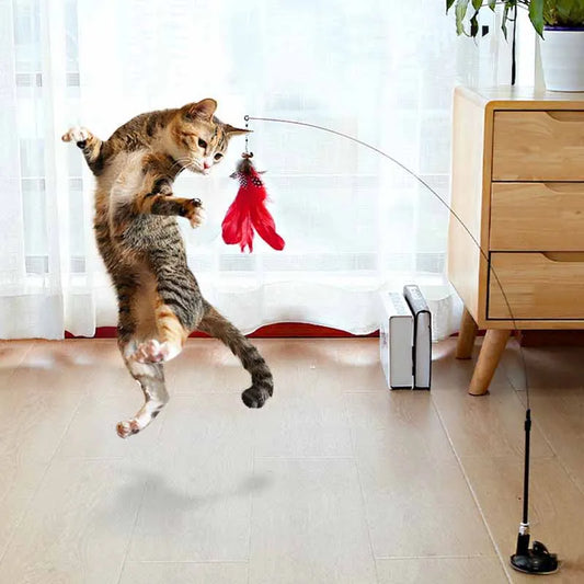 Action kattenspeeltjes – Budgetvriendelijke keuze
