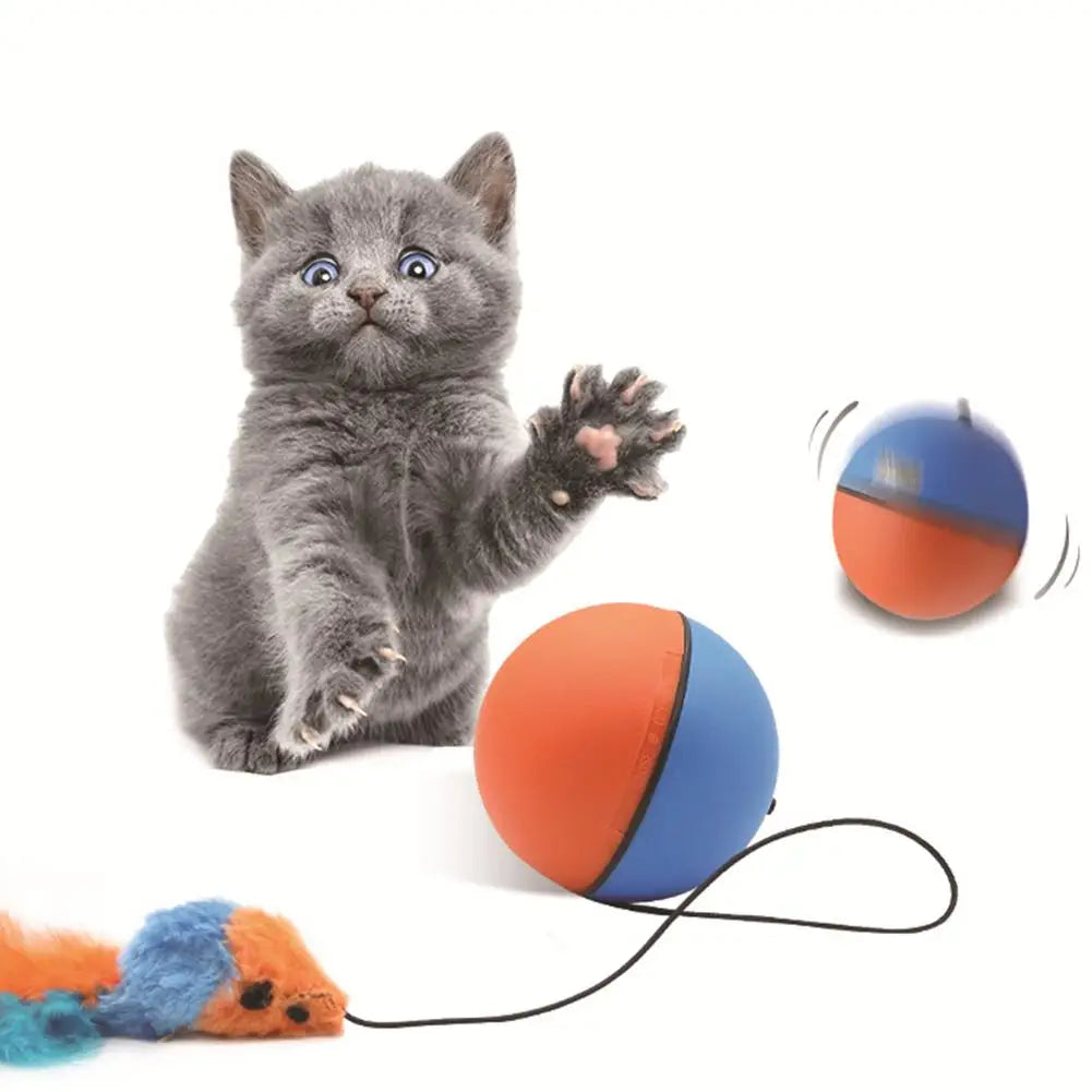 Kattenspeelgoed met pluche staart – Aantrekkelijk voor jachtgedrag