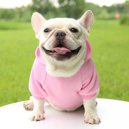 Knuffelspeeltje als cadeau hond – Zacht en schattig