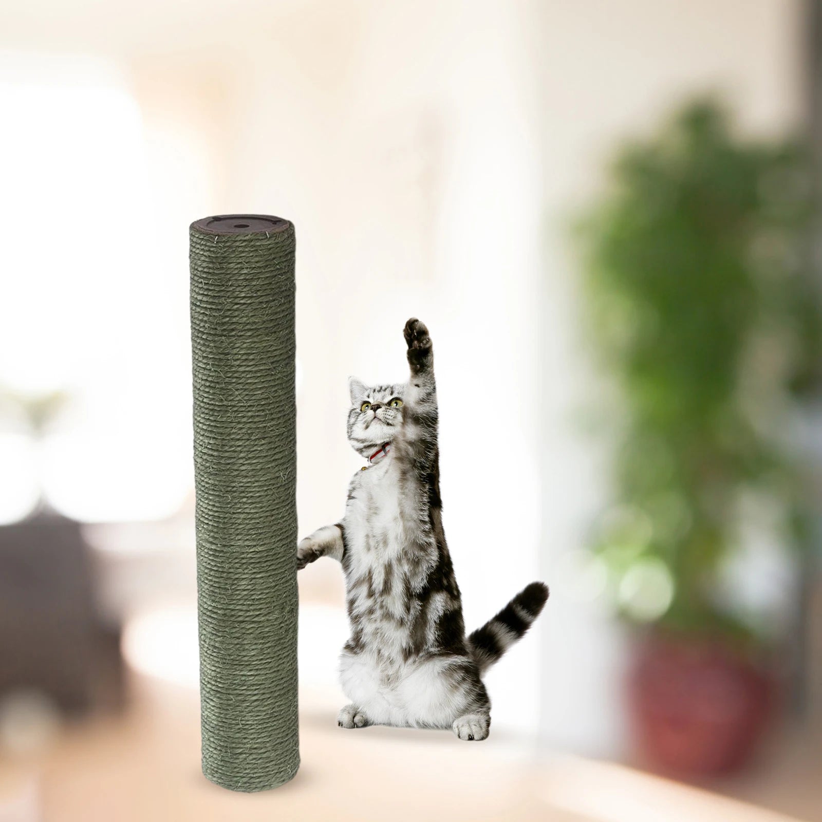 Muurkrabpaal met strakke afwerking – Modern en stevig