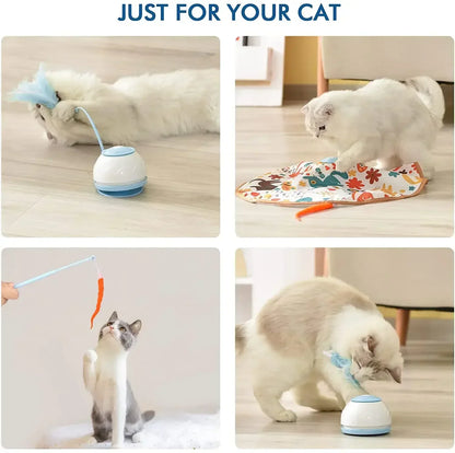 Kattenspeelgoed met piepgeluid – Houdt katten gefocust