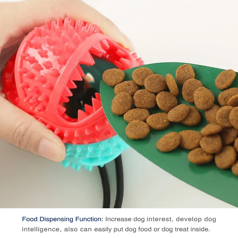 Origineel cadeau hond en baas – Samen genieten