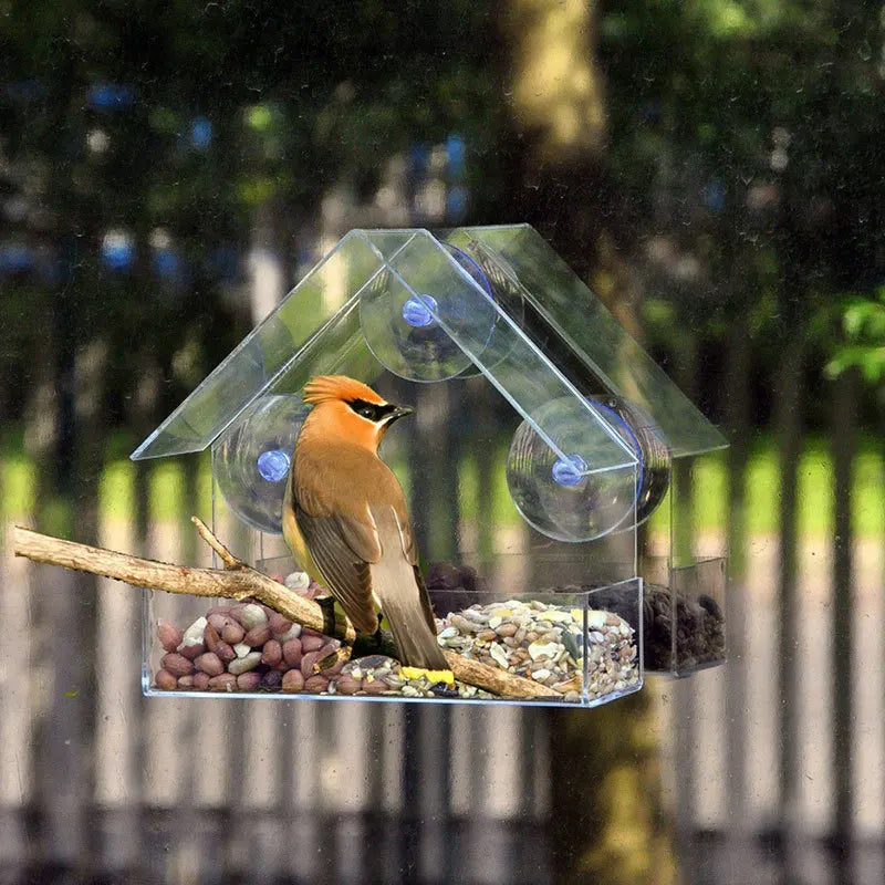 Vogelhuisje kopen inclusief schroeven – Direct klaar voor gebruik