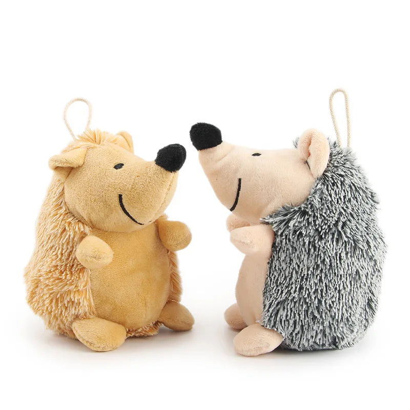 Cadeau voor hond en baas – Samen genieten