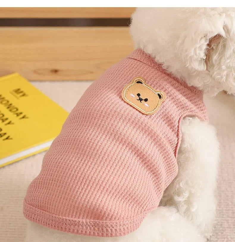Speelbox als cadeau voor hond – Verrassend en leuk