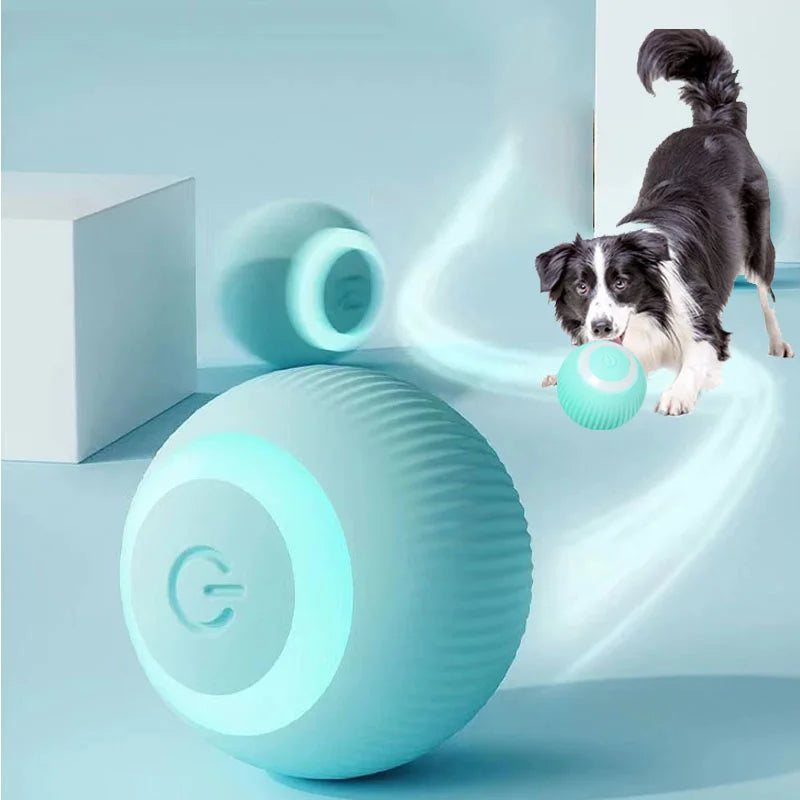 Cadeauset hond verjaardag – Spelen en knabbelen