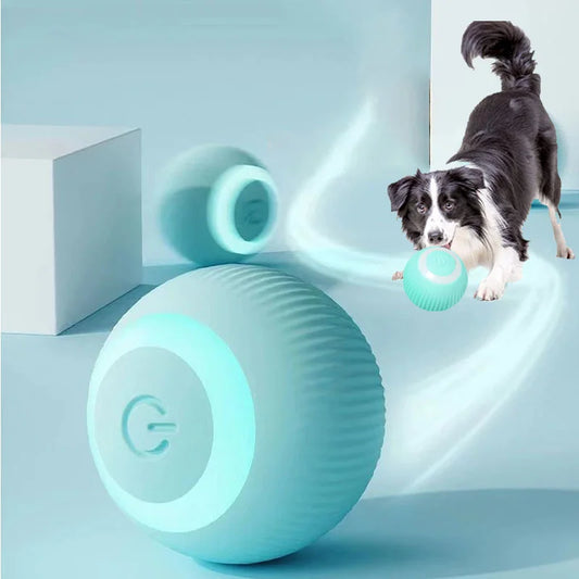 Cadeauset hond verjaardag – Spelen en knabbelen