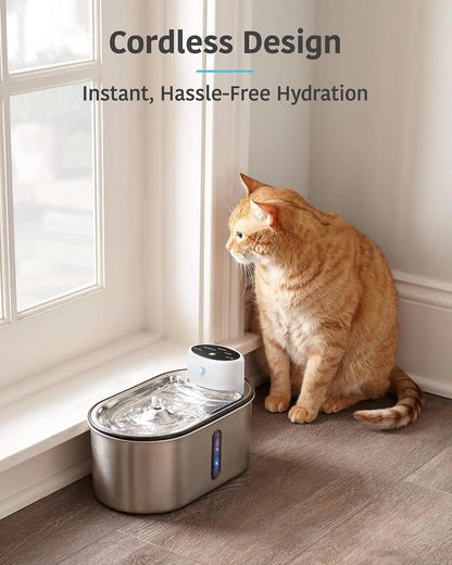 Fontein met LED voor katten – Verlichting en drinkplezier
